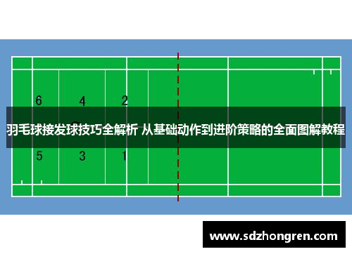 羽毛球接发球技巧全解析 从基础动作到进阶策略的全面图解教程